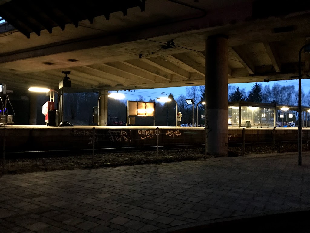 skovbrynet-st-10.jpeg