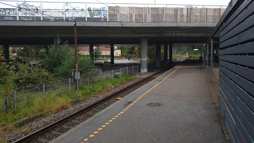 skovbrynet-st-13.jpeg
