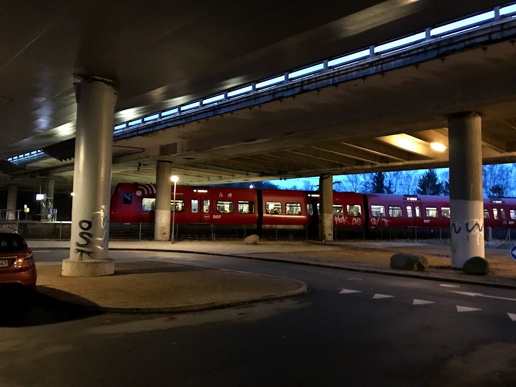 skovbrynet-st-15.jpeg