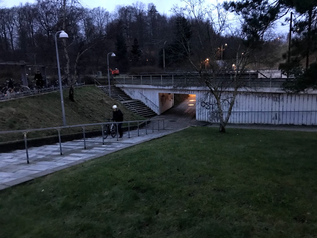 skovbrynet-st-3.jpeg
