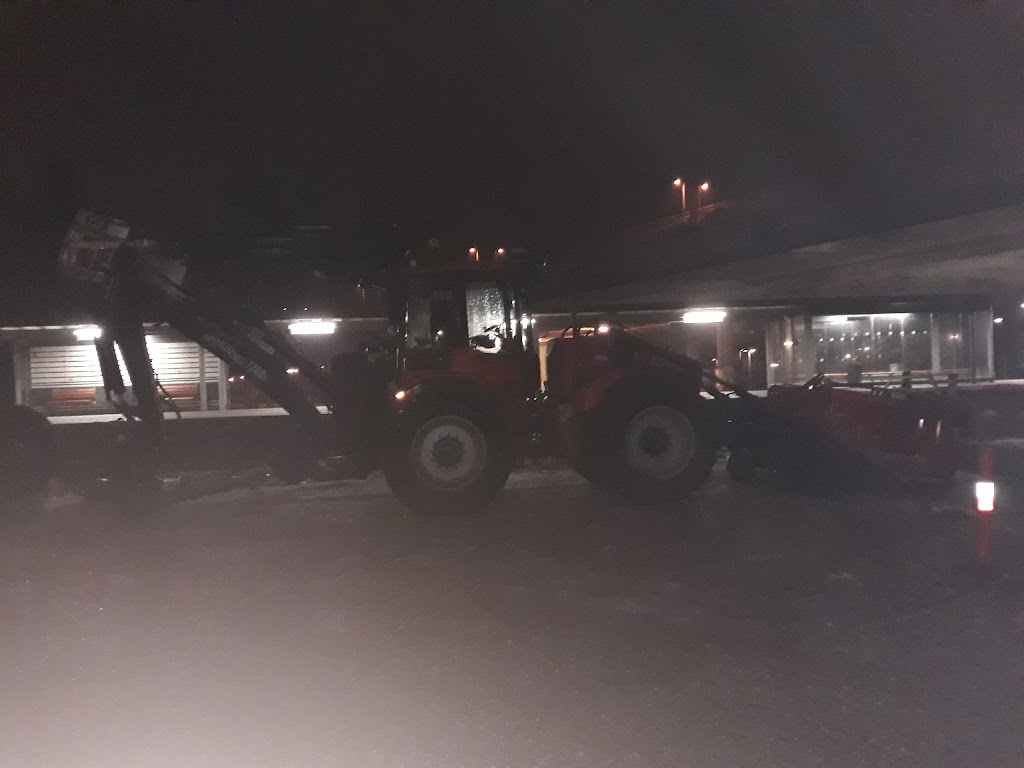 skovbrynet-st-7.jpeg