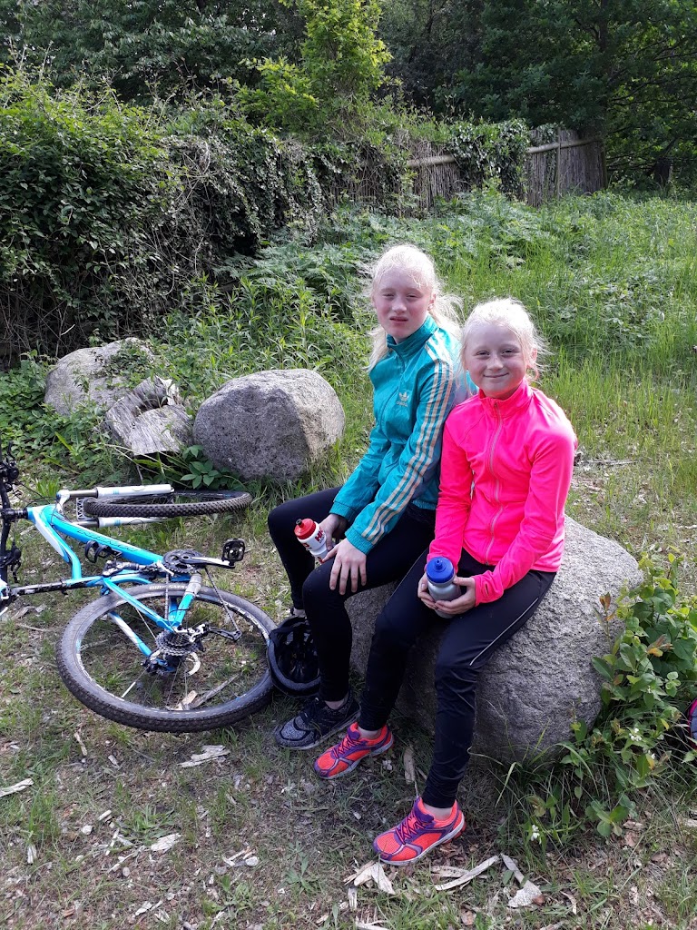 skovbrynet-st-9.jpeg