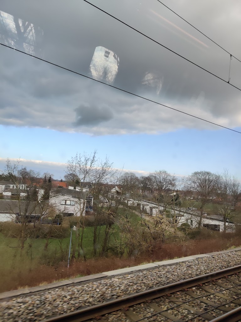 stengarden-12.jpeg