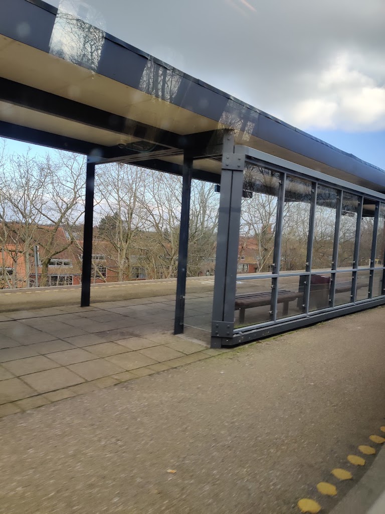 stengarden-16.jpeg