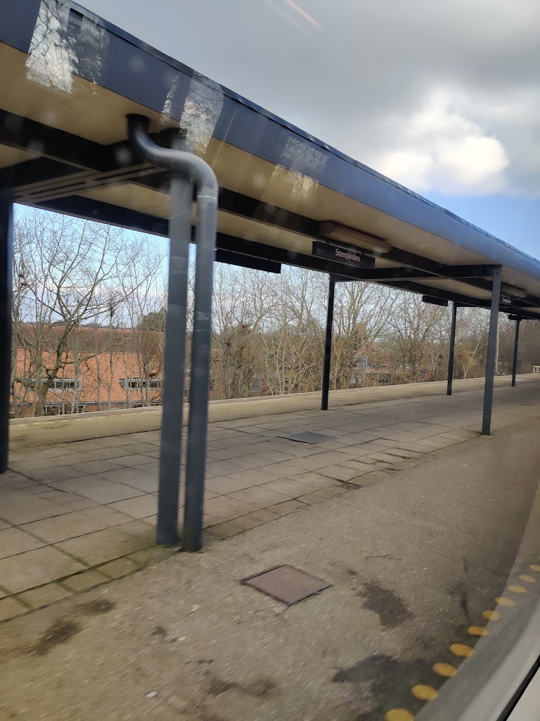 stengarden-17.jpeg