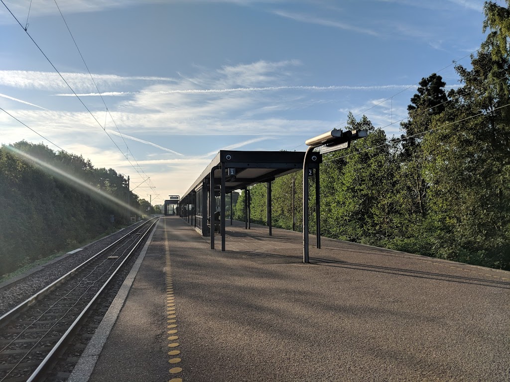 stengarden-6.jpeg