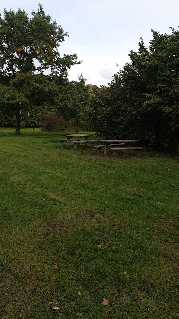 traebanken-shelter-og-balplads-13.jpeg