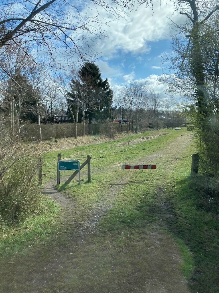 sommerbyen-ronhojgard-0.jpeg