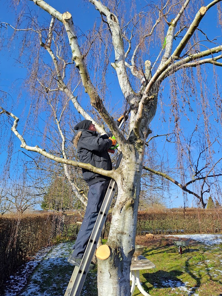 sommerbyen-ronhojgard-10.jpeg