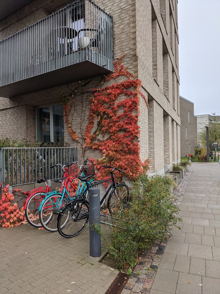 bellaraekkerne-14.jpeg