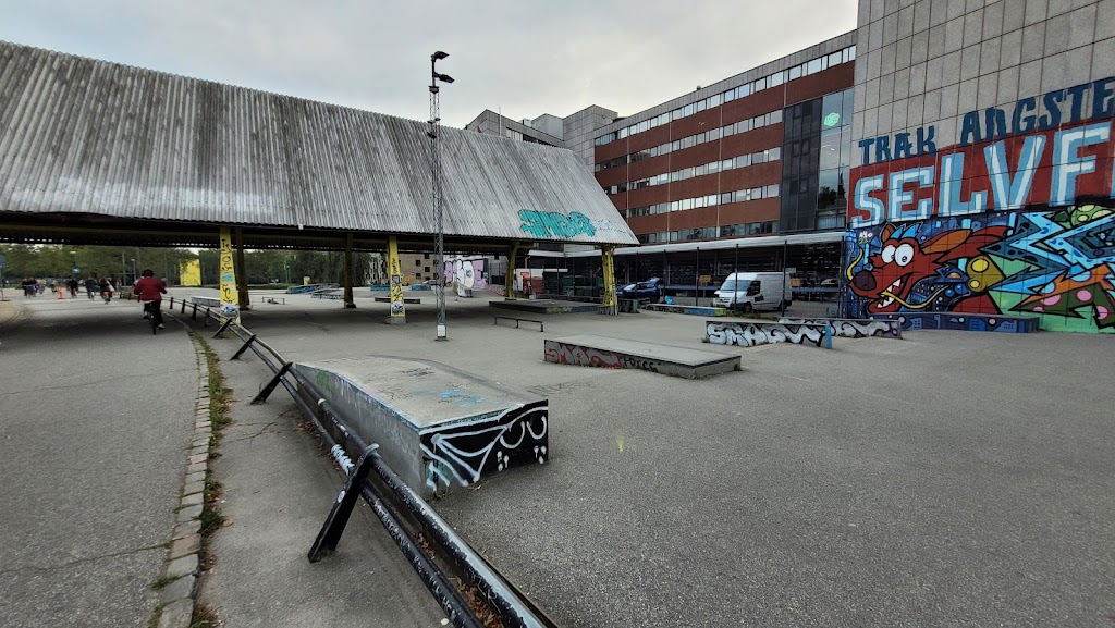 norrebro-skatepark-0.jpeg
