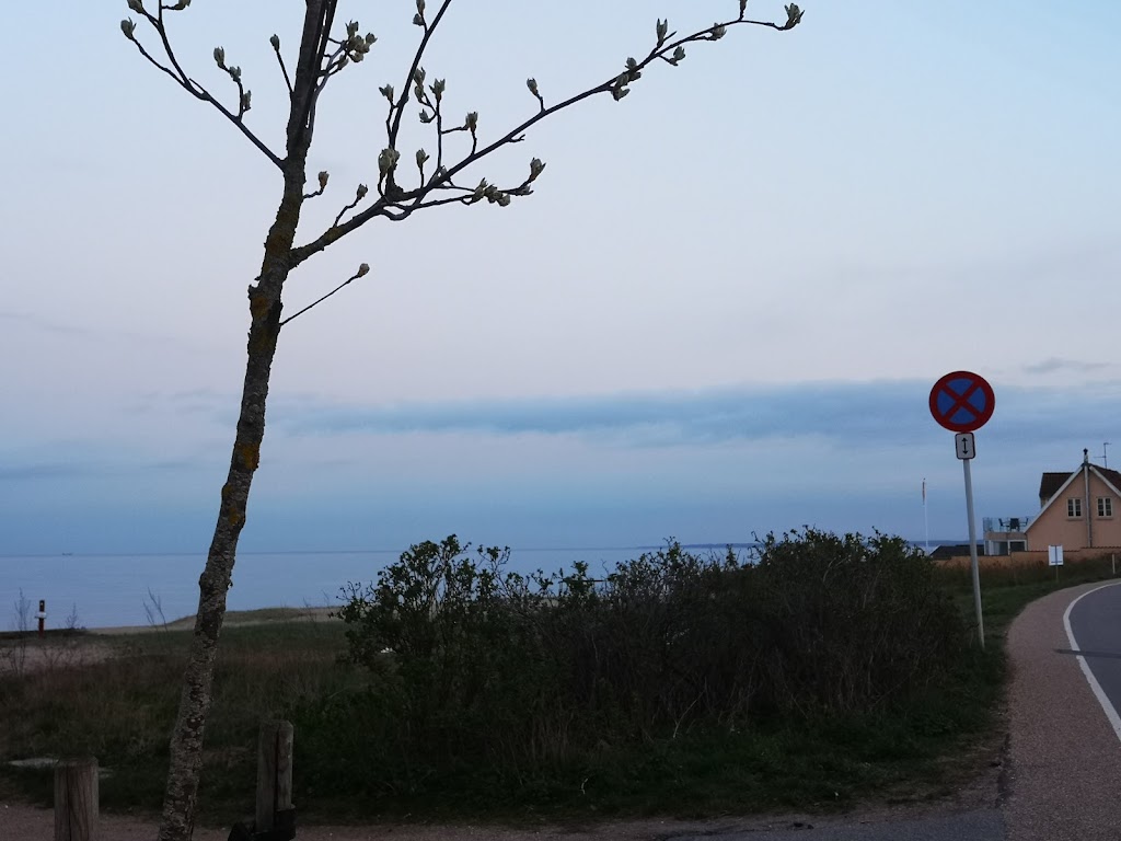 strandvejen-141-strandvejen-0.jpeg
