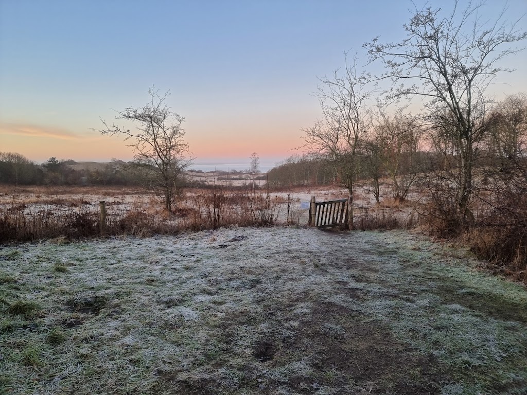 karup-skov-asvej-shelterplads-0.jpeg