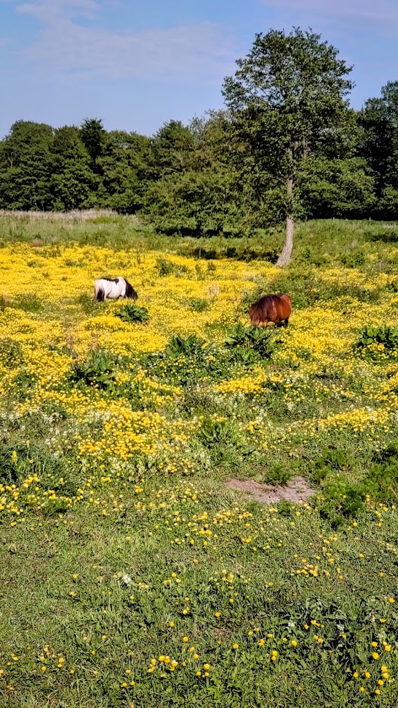bavnebjaergspark-borgmester-jespersens-vej-6.jpeg