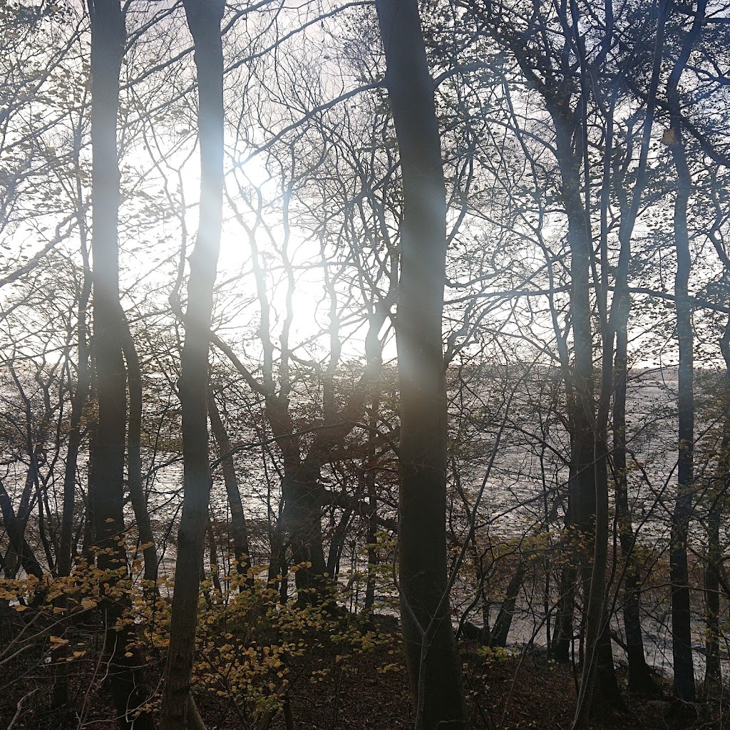 hoje-klint-10.jpeg