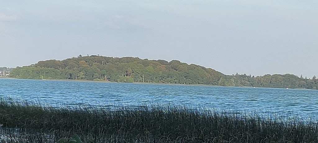 hoje-klint-7.jpeg