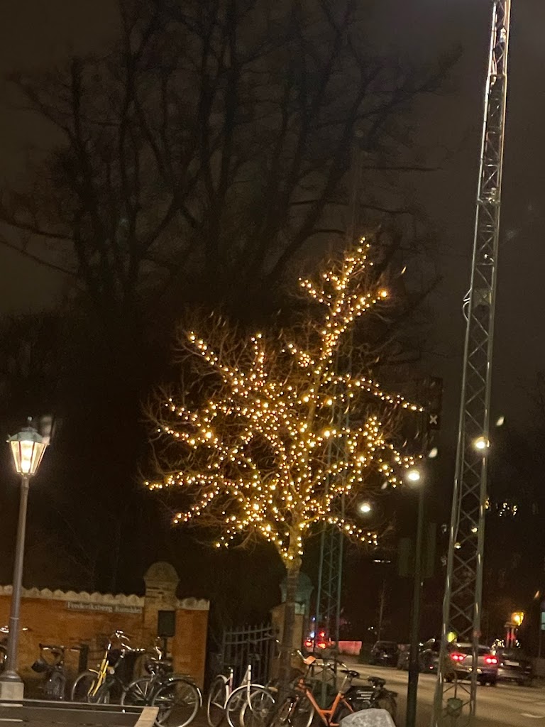 frederiksberg-runddel-frederiksberg-alle-14.jpeg