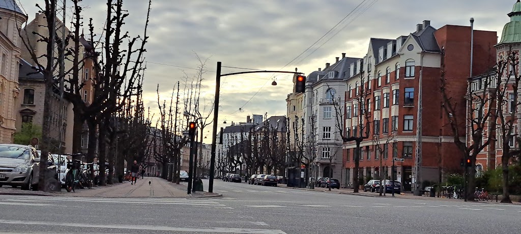 kingosgade-frederiksberg-alle-0.jpeg