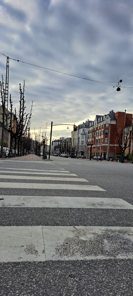 kingosgade-frederiksberg-alle-3.jpeg