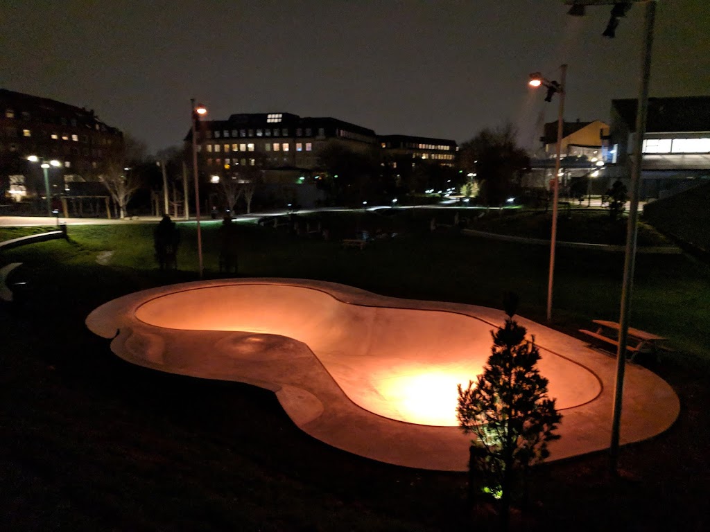 mini-skate-bowl-5.jpeg