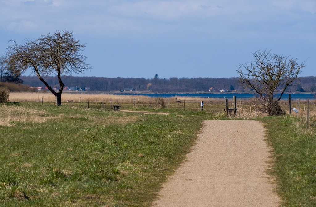klinten-strand-10.jpeg
