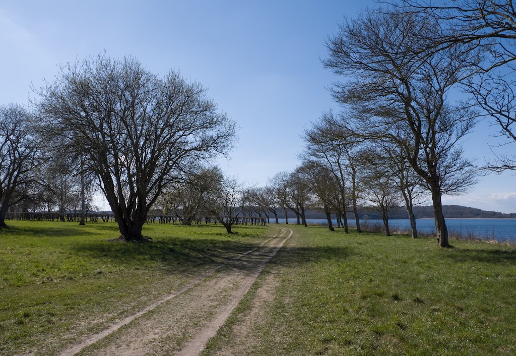 klinten-strand-6.jpeg
