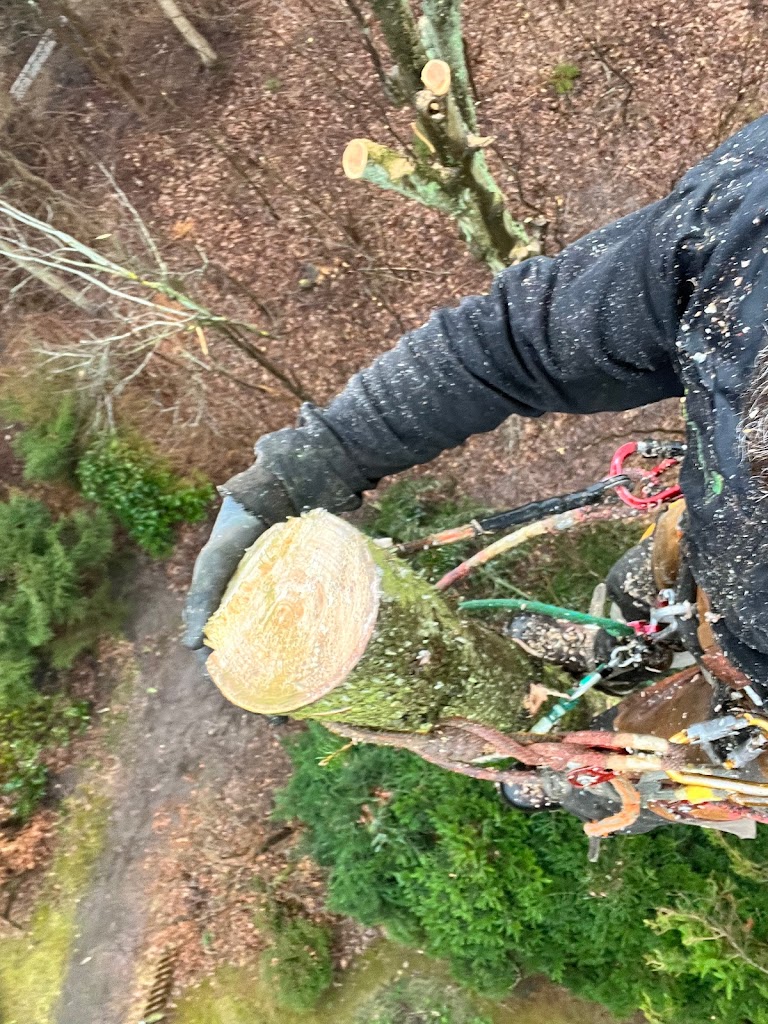 asserbo-plantage-11.jpeg