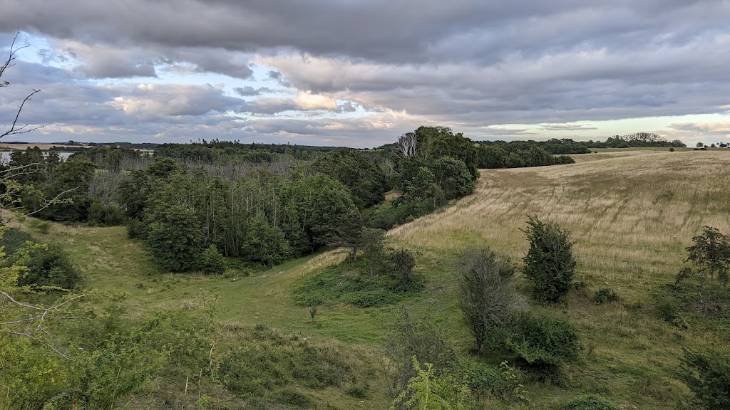 baeverskjul-dronningholm-mose-13.jpeg