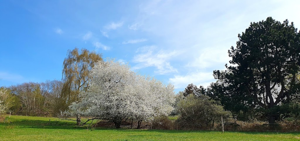 baeverskjul-dronningholm-mose-17.jpeg