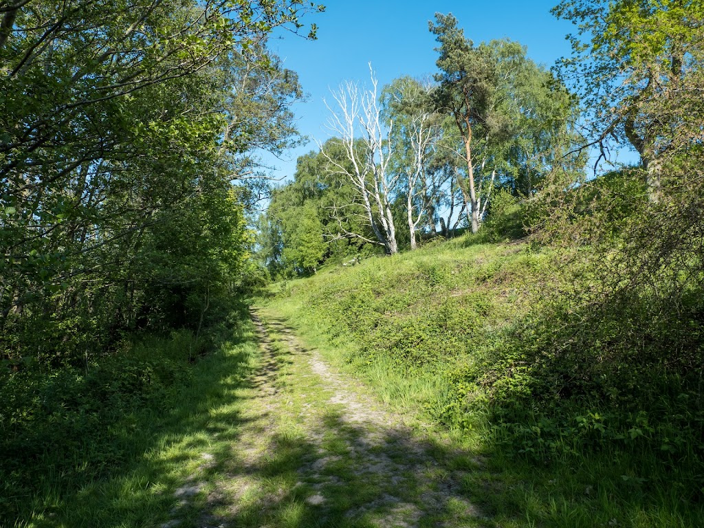 baeverskjul-dronningholm-mose-3.jpeg
