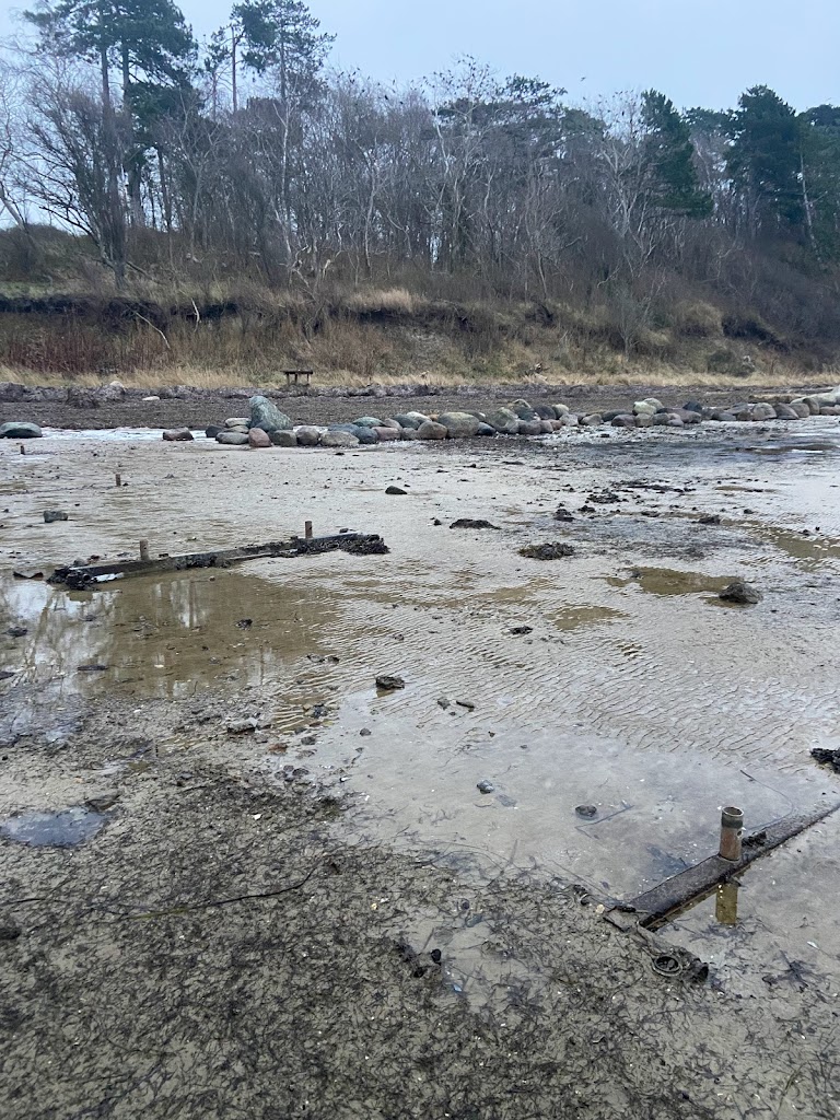 hvide-klint-0.jpeg