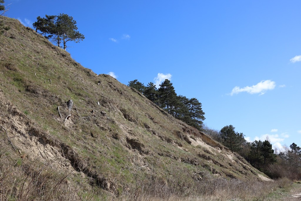 hvide-klint-18.jpeg