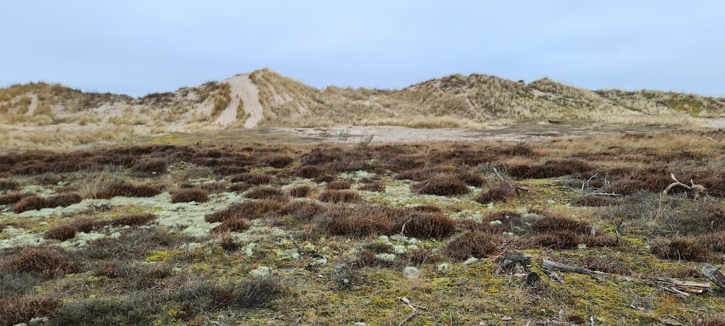 jydestrand-7.jpeg