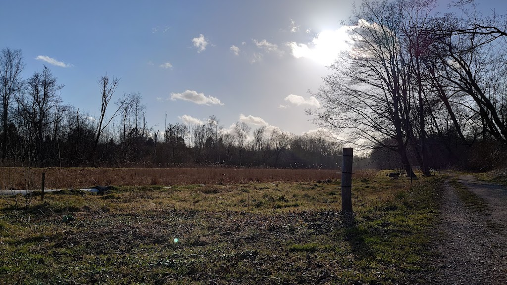hjortedam-balplads-4.jpeg