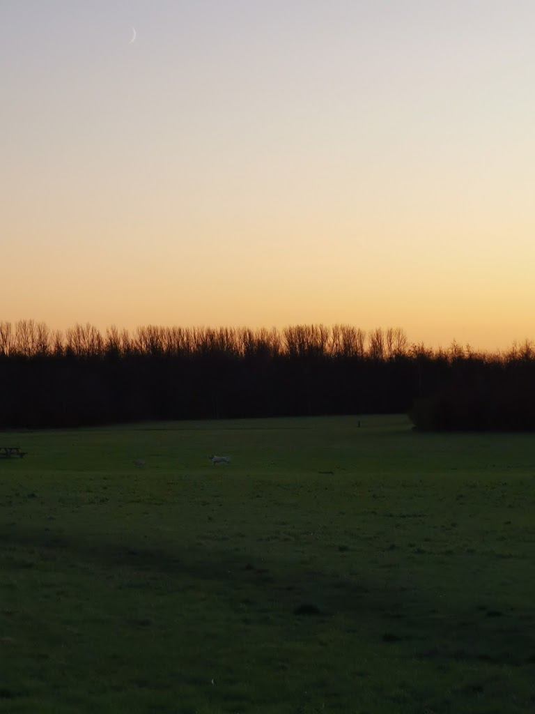 psykiatrisk-center-glostrup-nordre-ringvej-3.jpeg