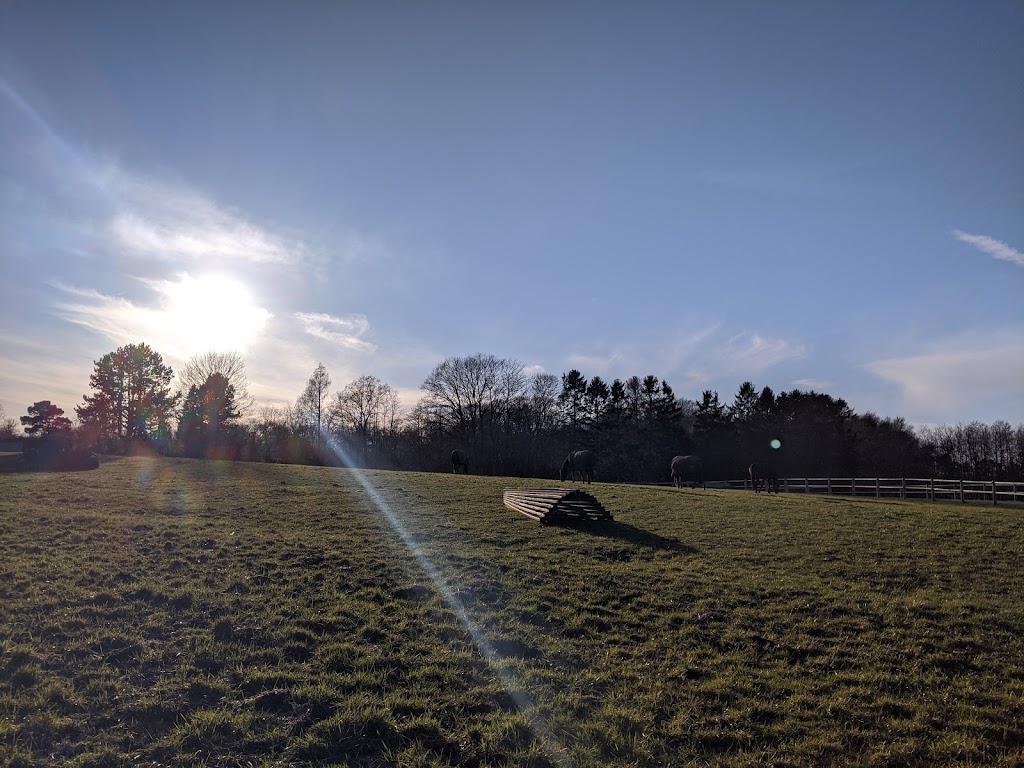saltrup-st-0.jpeg