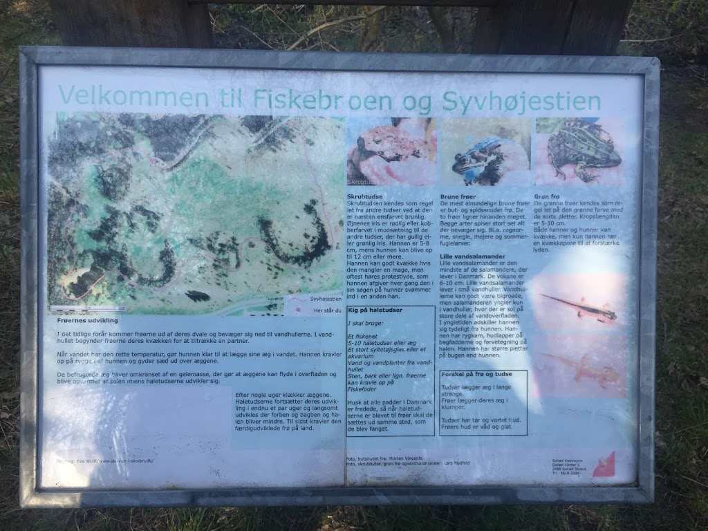 syvhojestien-8.jpeg