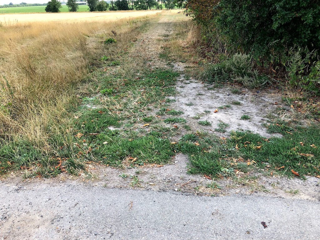 vandvaerksstien-2.jpeg