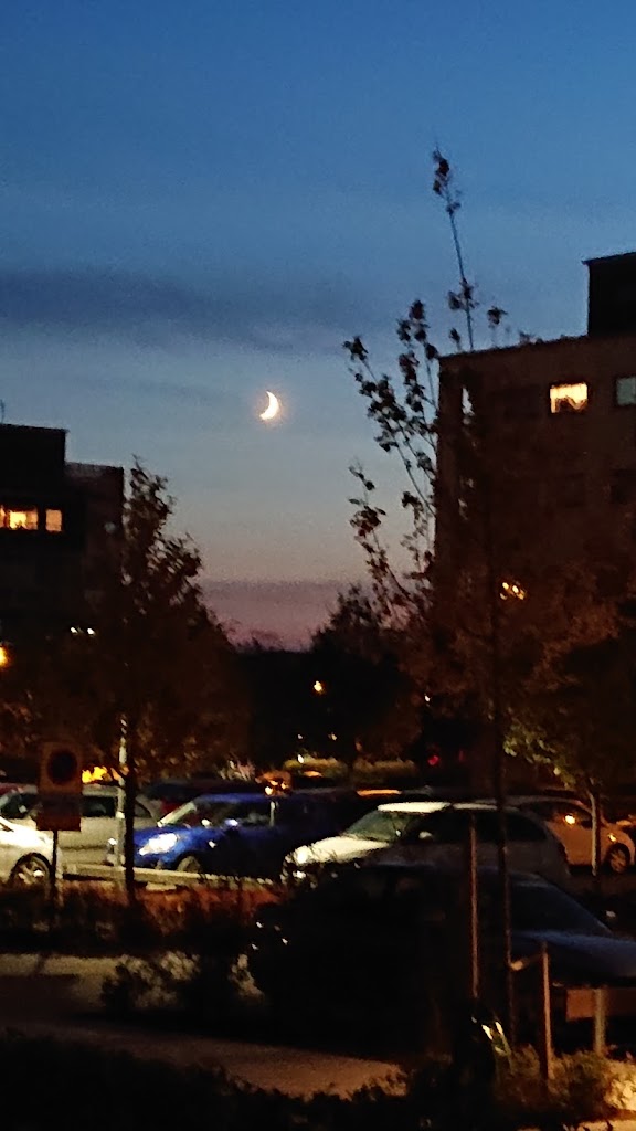 helsingborg-tofsmesgatan-1.jpeg