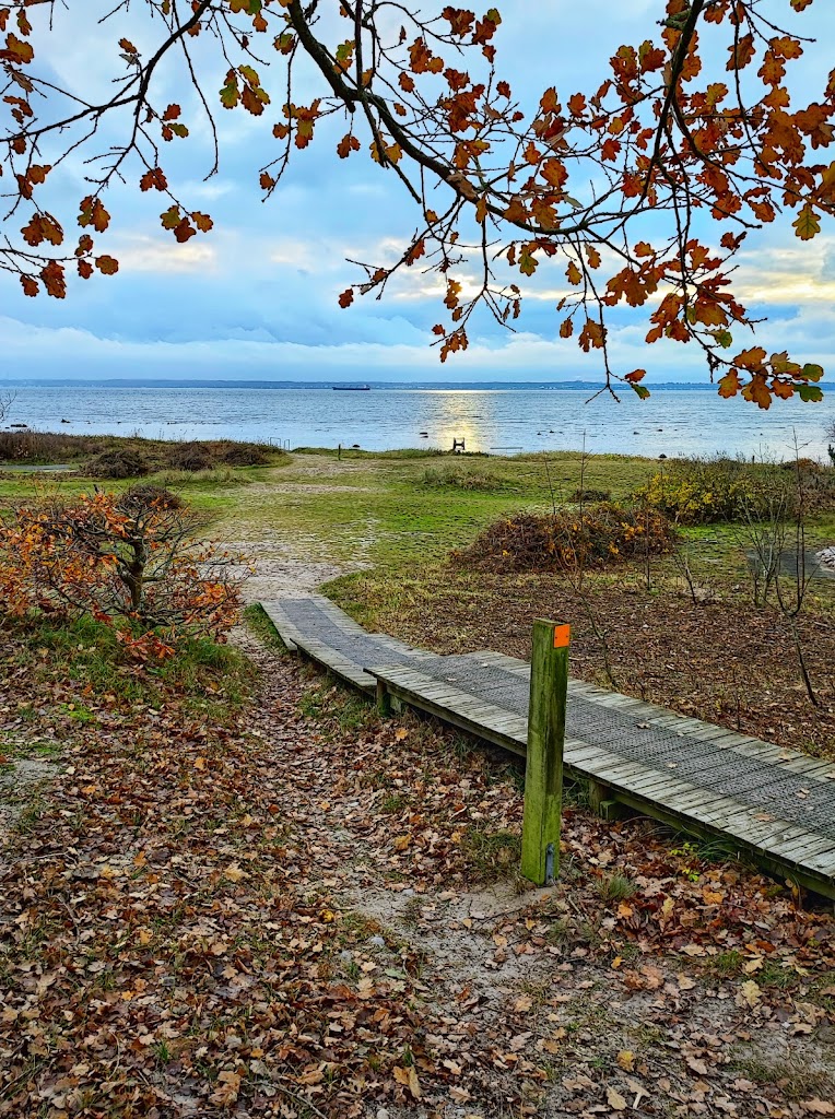 kulla-gunnarstorp-3.jpeg