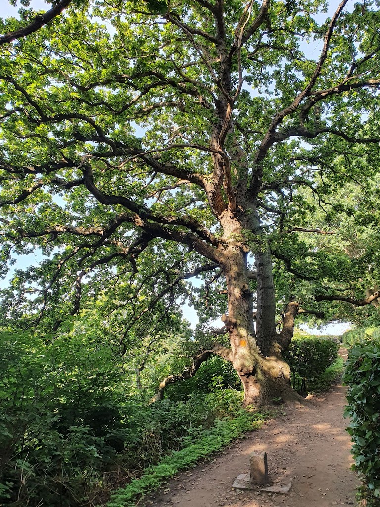 palsjo-nature-reserve-13.jpeg