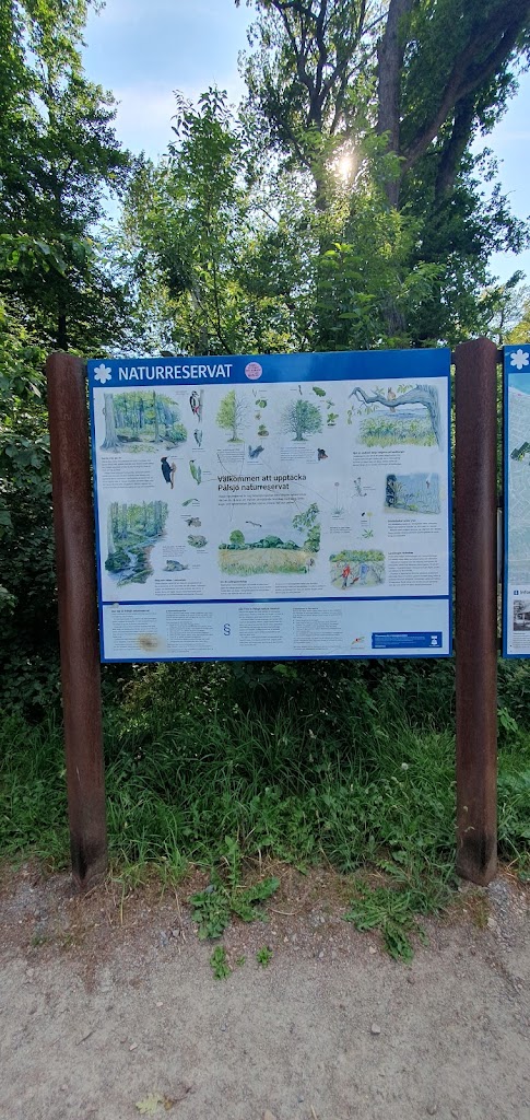 palsjo-skog-naturreservat-2.jpeg