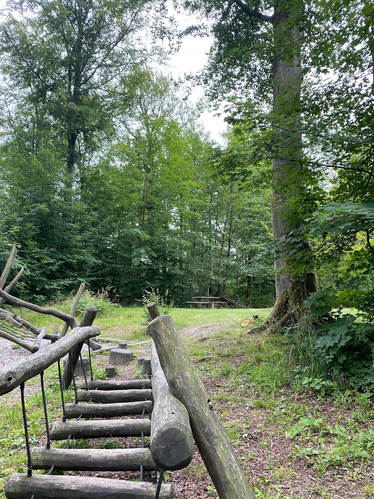 hobjerg-hegn-naturlegeplads-5.jpeg
