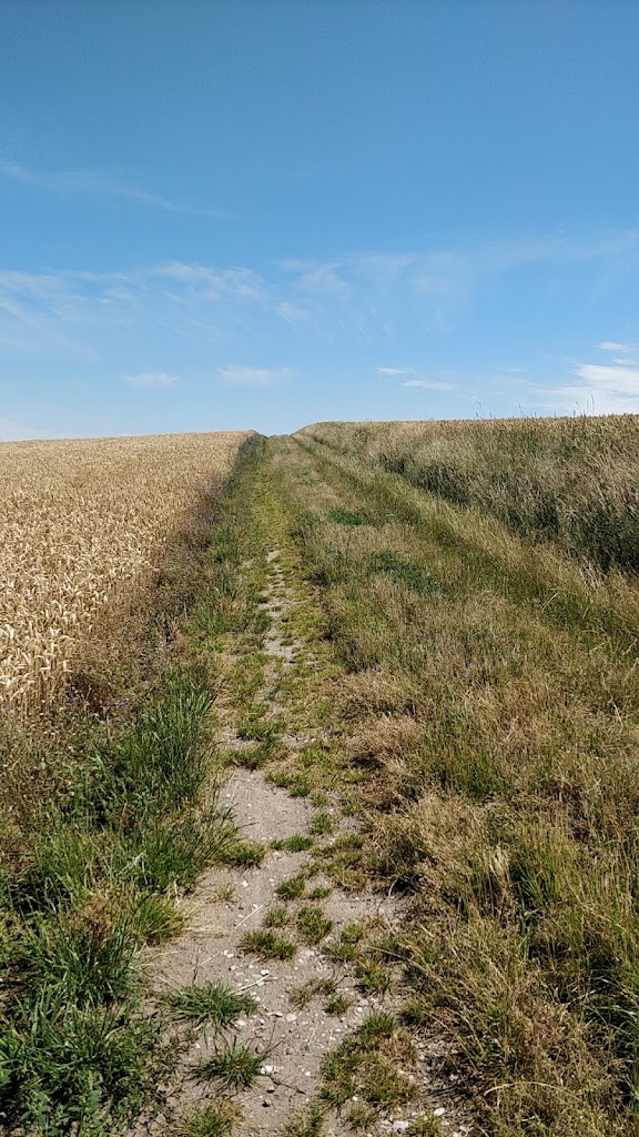 ved-hejeltegarden-3.jpeg