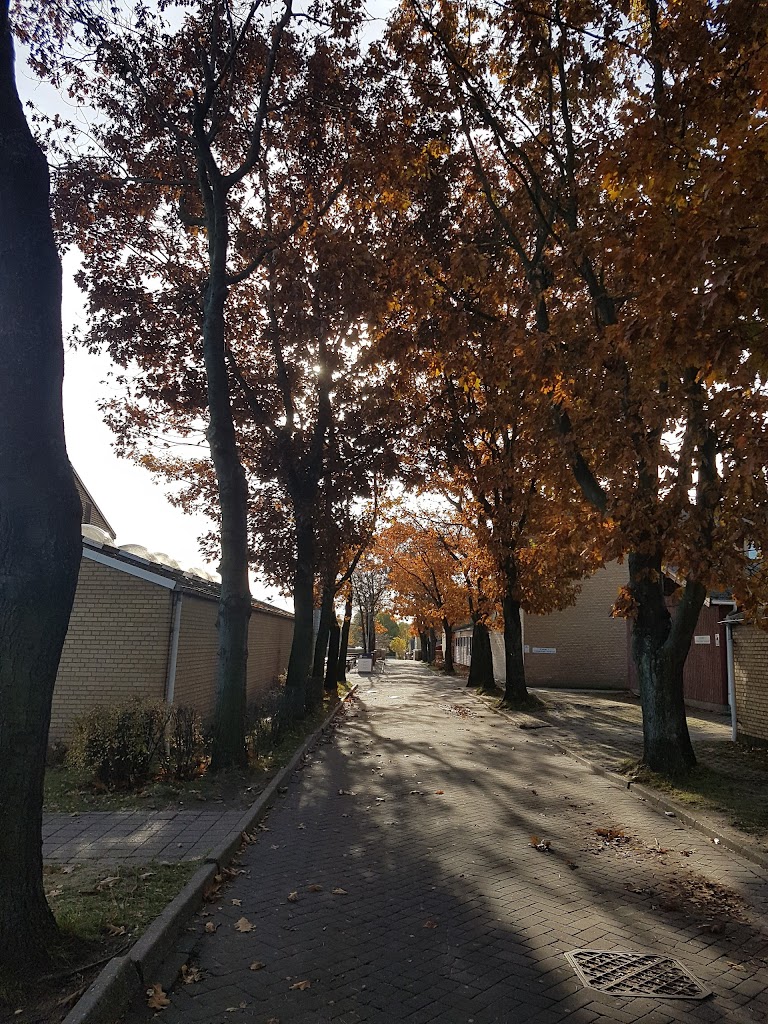 helsingor-atletikstadion-4.jpeg