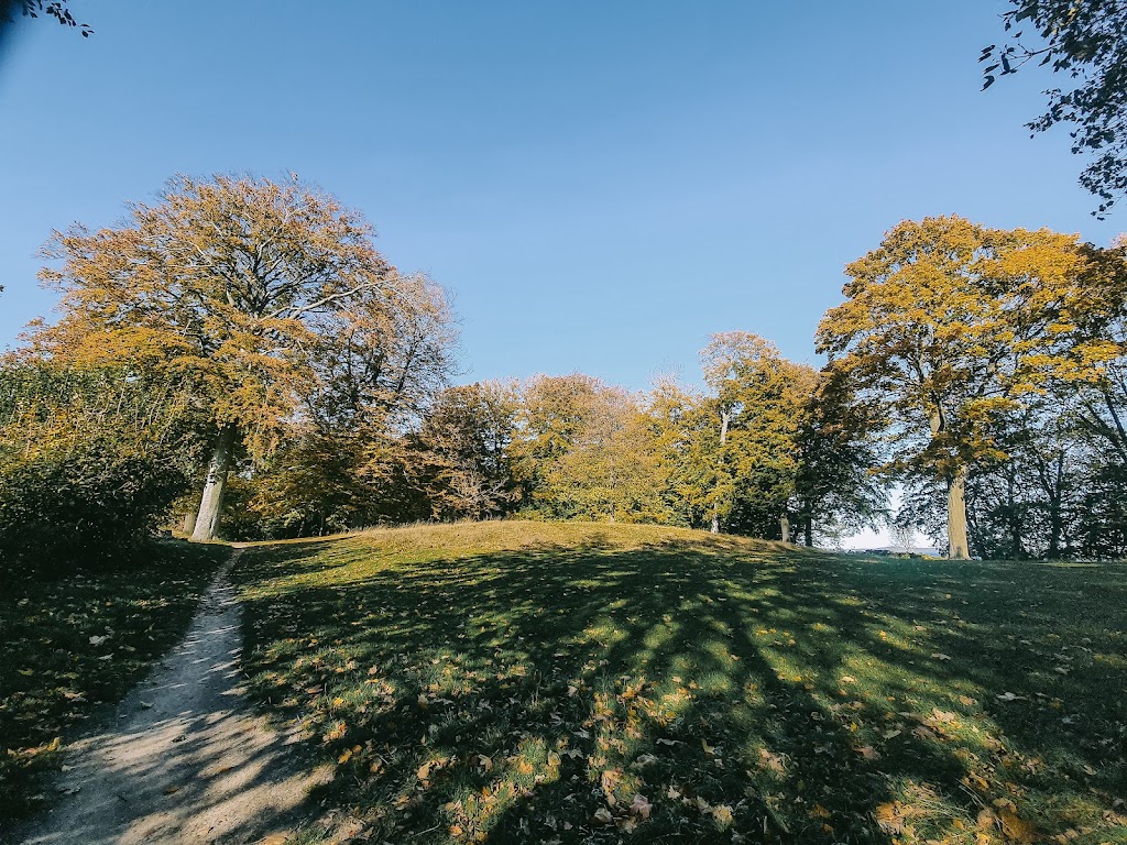 helsingor-forest-playground-11.jpeg