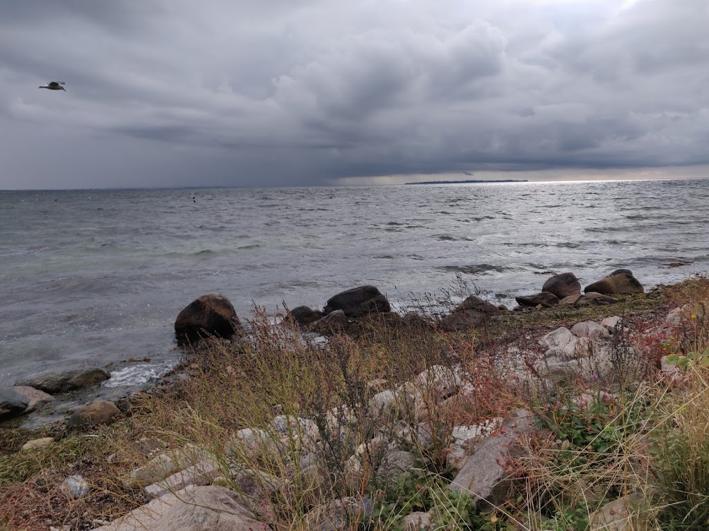 trykkerdammen-sondre-strandvej-1.jpeg