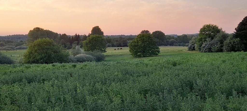 muskathaven-peberhaven-0.jpeg