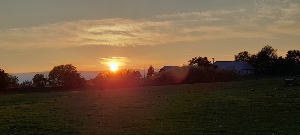 muskathaven-peberhaven-2.jpeg