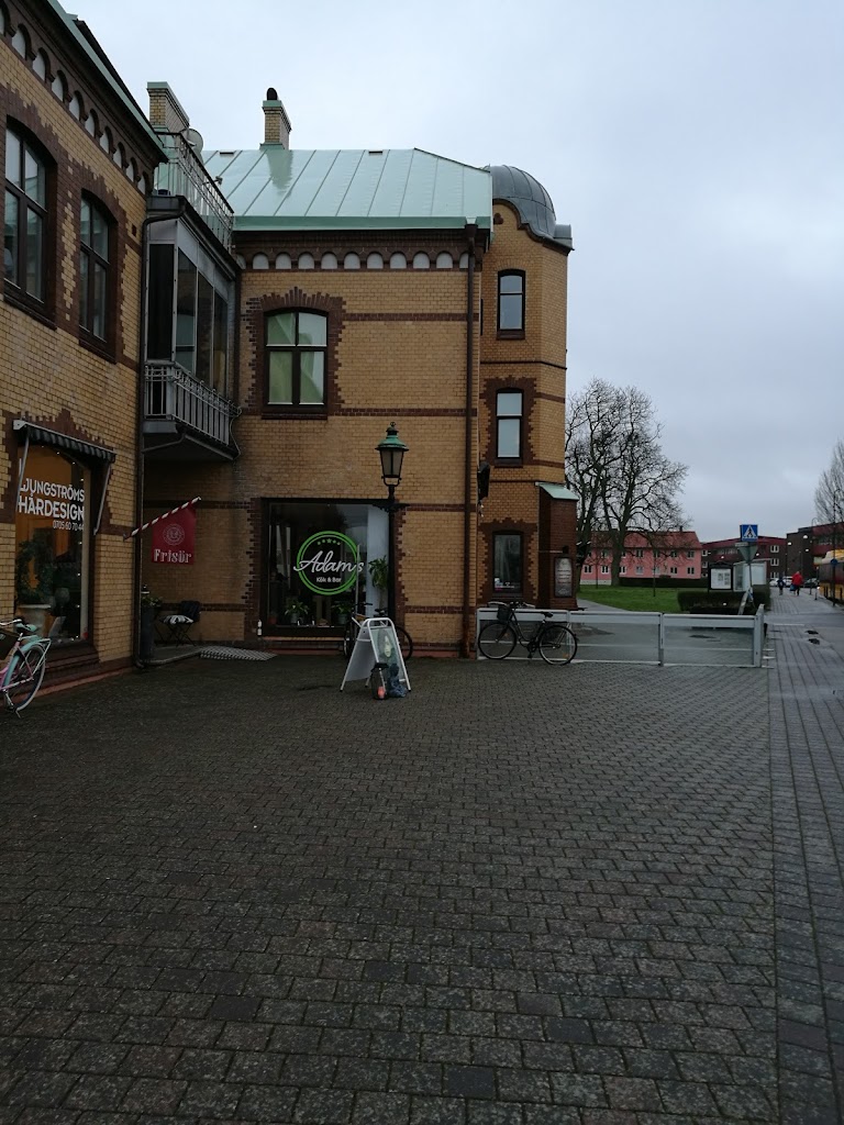 adams-kok-bar-15.jpeg